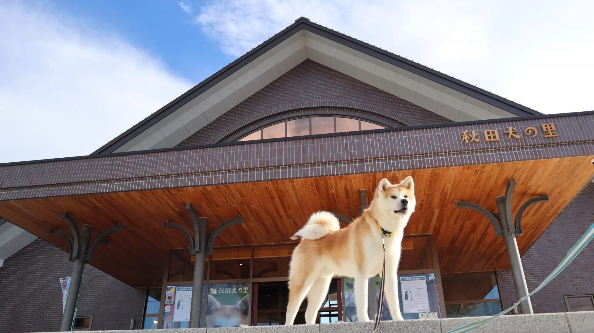 🌳 계성 공원 (케이죠 코엔) 이미지 4